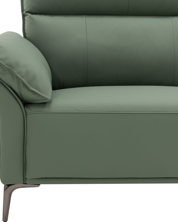 ZBOM HOME Green Leather Sofa