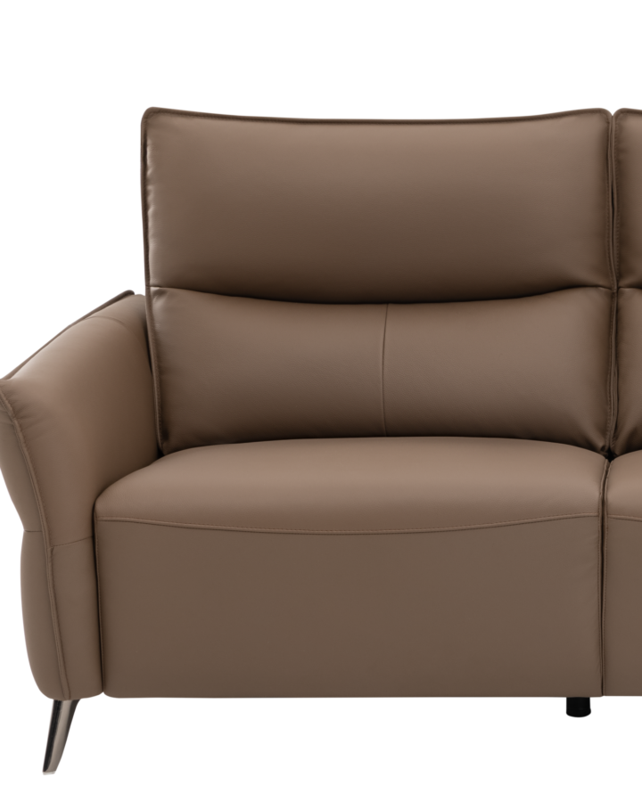 ZBOM HOME Brownie Leather Sofa (Maillard)