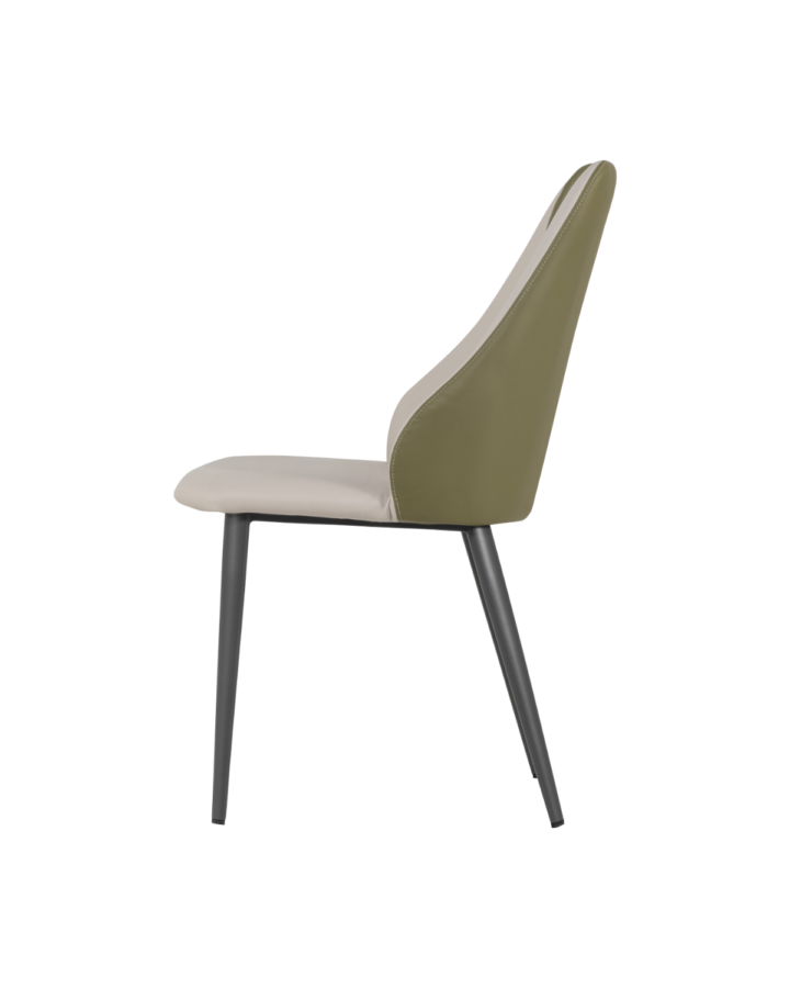 ZBOM HOME Forest Language Dining Chair (Fresh Fruit Green)