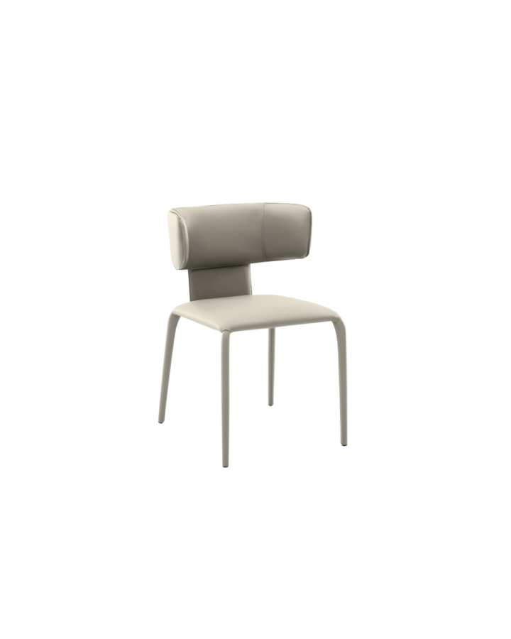 ZBOM HOME Xi Yue Dinning Chair (beige)